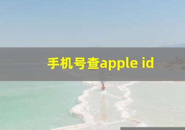 手机号查apple id